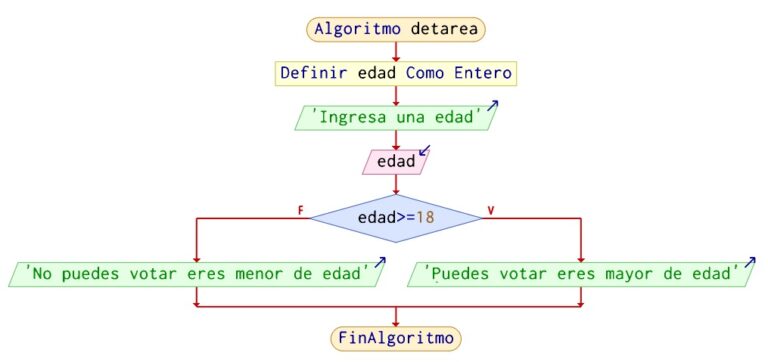 Algoritmo Para Determinar Si Una Persona Puede Votar En Pseint